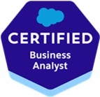 Salesforce Business Analyst image