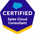 Salesforce Sales Cloud Consultant image